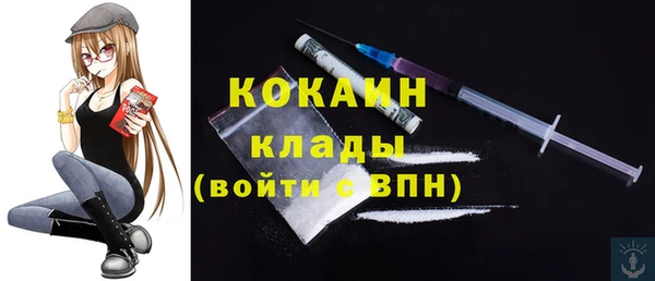 дурь Дмитриев