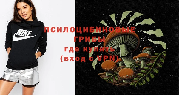 дурь Дмитриев