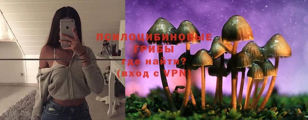дурь Дмитриев
