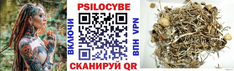 Купить закладки  Чернушка  Галлюциногенные грибы GOLDEN TEACHER 