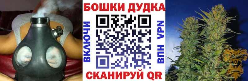 Каннабис сатива Купить закладки Чернушка